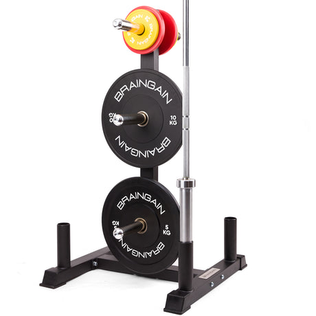 Olympic Weight Storage Tree with Barbell Storage