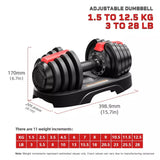 BRAINGAIN Beginner Gym Bundle